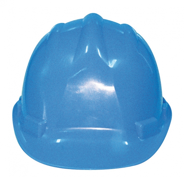 Schutzhelm Endurance Budget